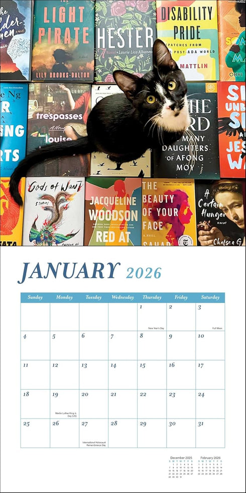 CATS AND BOOKS 2026 WALL CALENDAR